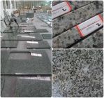 Badkamers/Keuken Groen Stevig Graniet Worktops 0,01% Waterabsorptie