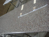 Bruine Stevige Natuurlijke het Graniet Grondstof Met hoge weerstand van Granietworktops