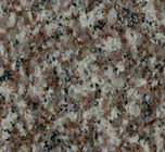 Bruine Stevige Natuurlijke het Graniet Grondstof Met hoge weerstand van Granietworktops