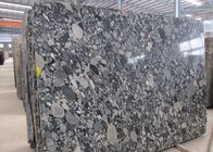 Plak van het mozaïek de Zwarte Graniet voor Plakken van de het Granietsteen van de het Werk de Hoogste, Hoge Hardheid