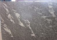 De Steentegels van het sneeuw Grijze Graniet met Witte Aders 2.8kg/de Dichtheid van M ³