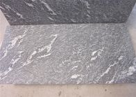 De Steentegels van het sneeuw Grijze Graniet met Witte Aders 2.8kg/de Dichtheid van M ³