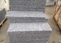 Tredestappen/Countertop Tegels 26,6 van de Granietsteen MPa Flexural Sterkte