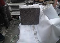 Hoge de Vloertegels van het Hardheids Natuurlijke Graniet, Grijze Granietcountertop Plakken