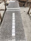 Tegels van de het Granietsteen van G563sanbao de Rode/de Vloertegels van de Granietkeuken voor Bevloering het Bedekken