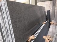 G654 Plakken van het Graniet de de Materiële Natuursteen/Tegels van de Natuursteenvloer