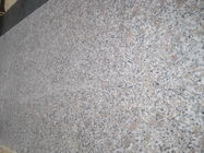 Van de de Plak Grijze Bloem van het granietg383 Materiële Bianco Antico Graniet de Parelkleur
