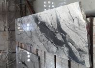 De grijze de Plakkenmuur van het Adersnatuursteen betegelt 2,95 Hoge Granietdichtheid